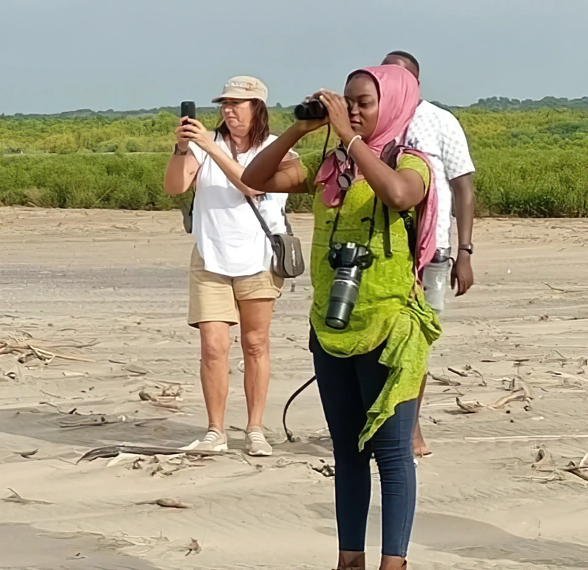 Bird-watching